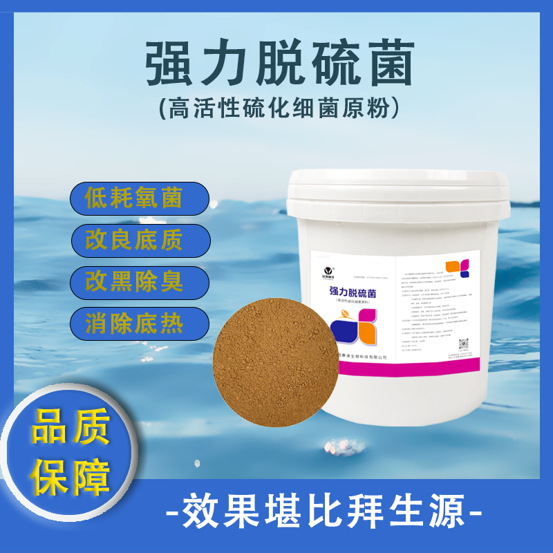 硫细菌强力脱硫菌吸收硫化氢分解净化底质水产养殖