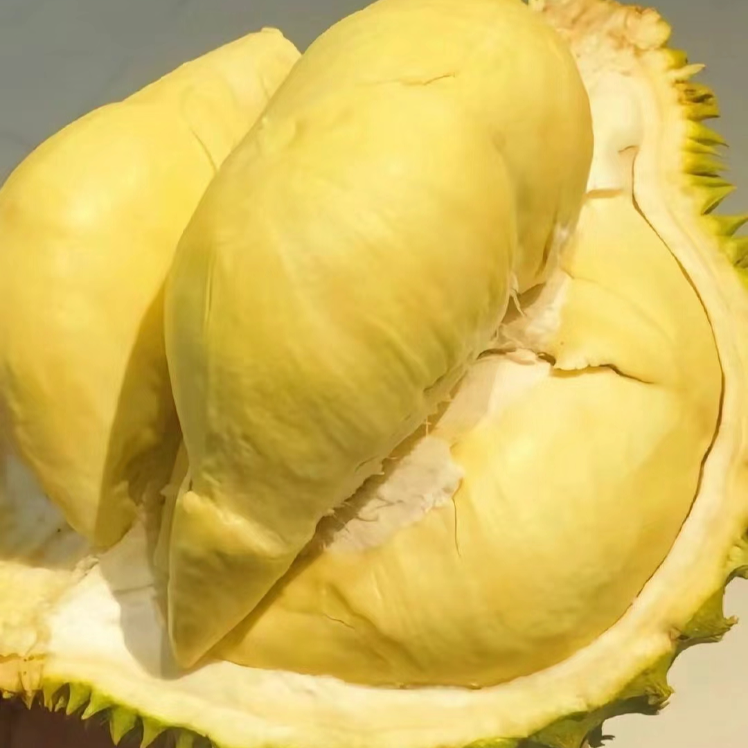 苏州小时达鲜榴莲500g核小鲜榴莲金枕榴莲泰国