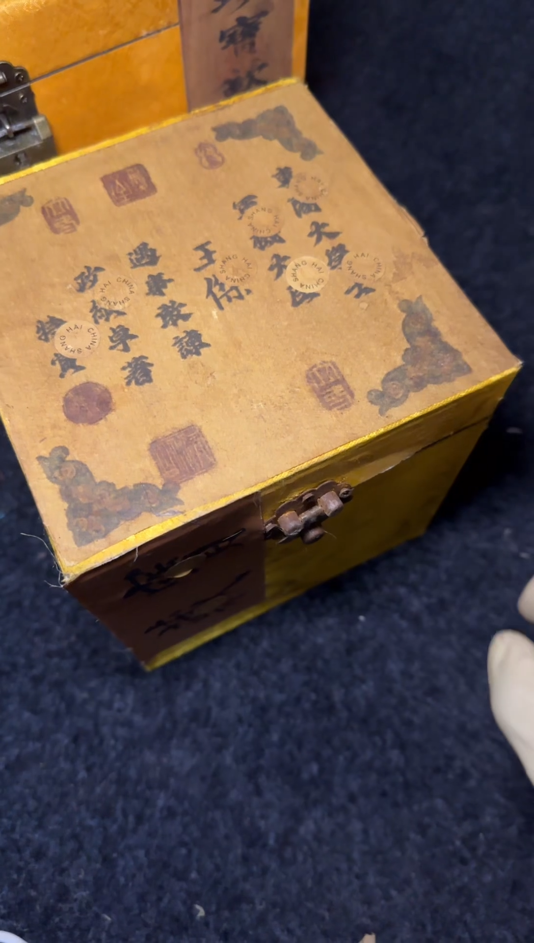 木------福利-------------