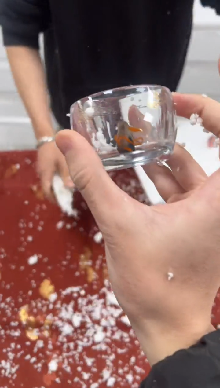 【闪购商品】其他精品茶具@@@@@@@@@@@