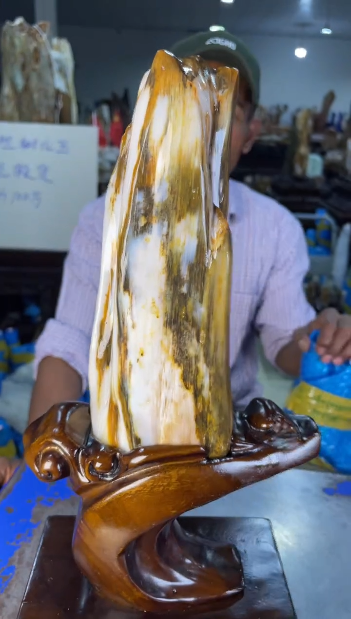 未镶嵌摆件硅化玉17