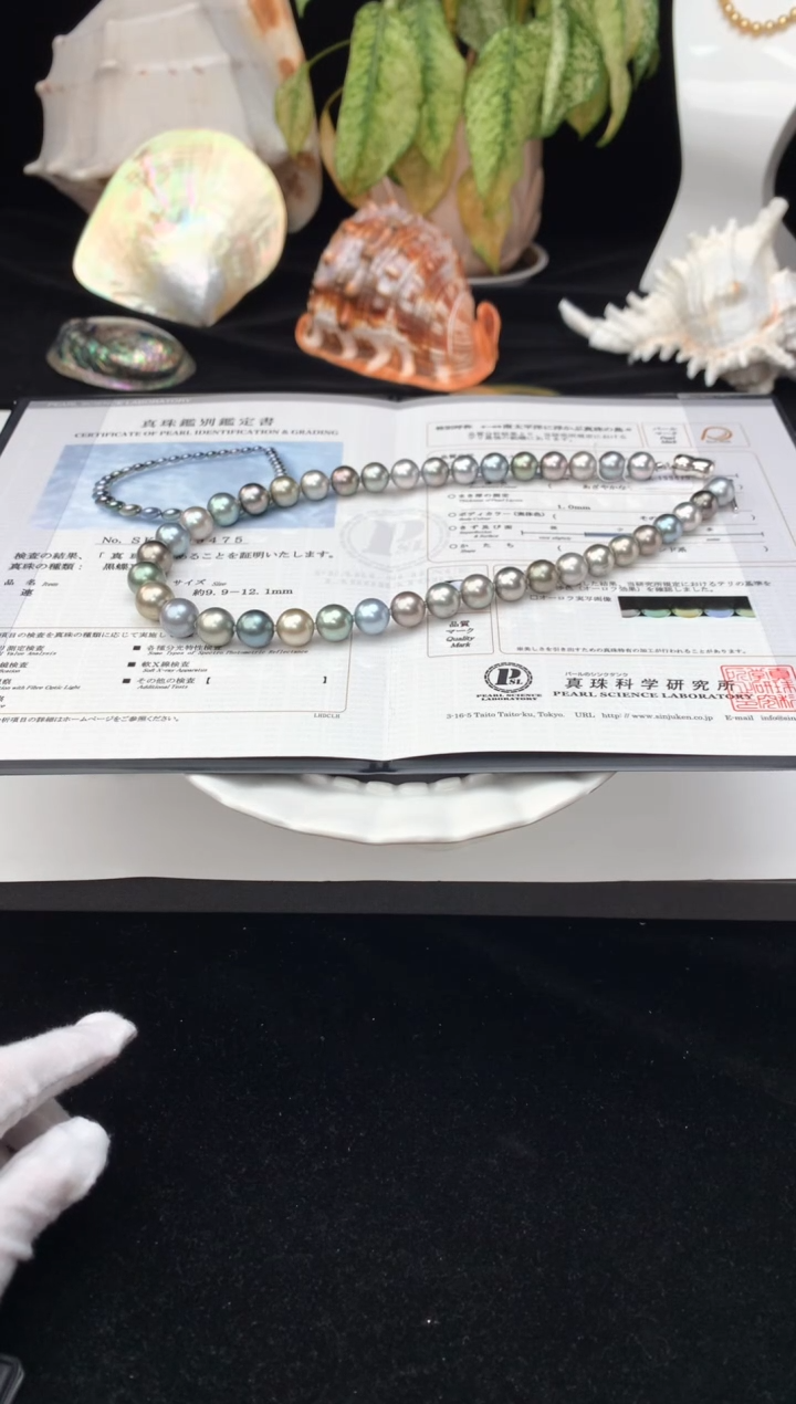 【闪购商品】海水珍珠颈饰银S925镶嵌海水大溪地珍珠项链10-12mm