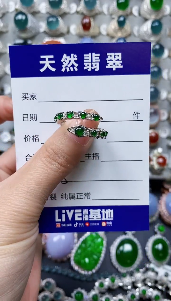 【闪购商品】翡翠颈饰银S925镶嵌0525