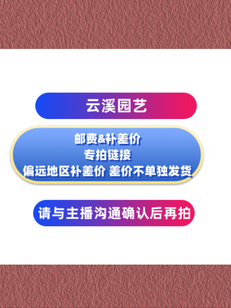 云溪园艺 补差价专拍链接