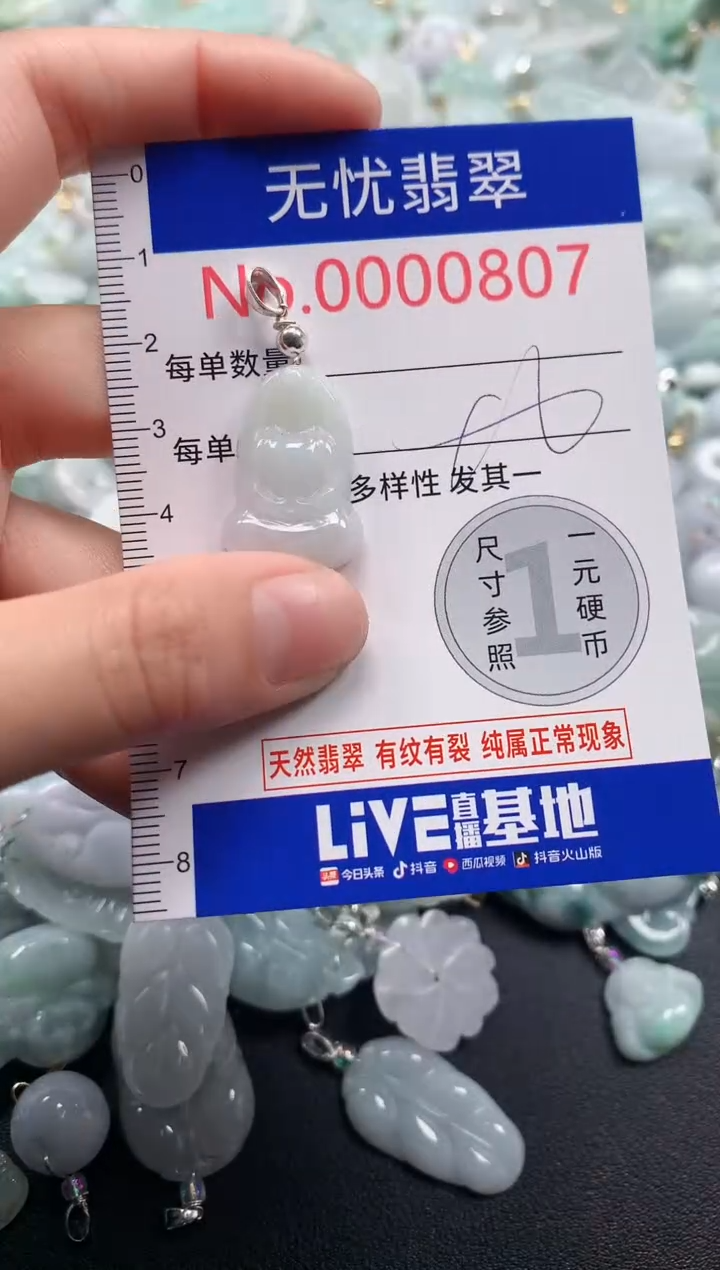 颈饰未镶嵌翡翠807