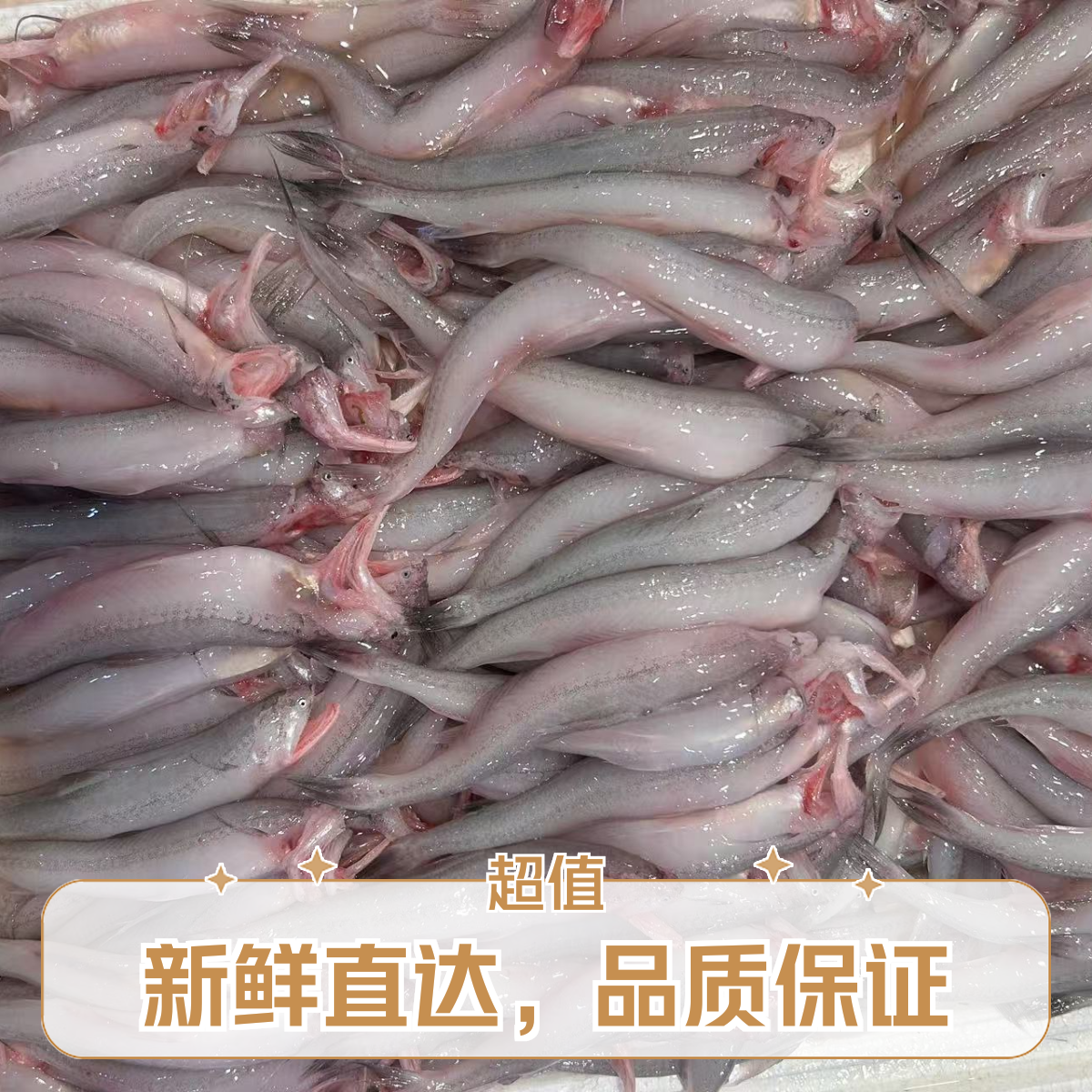 《同城配送》豆腐鱼