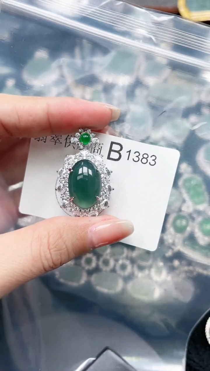 【闪购商品】翡翠颈饰未镶嵌赠皮绳1383