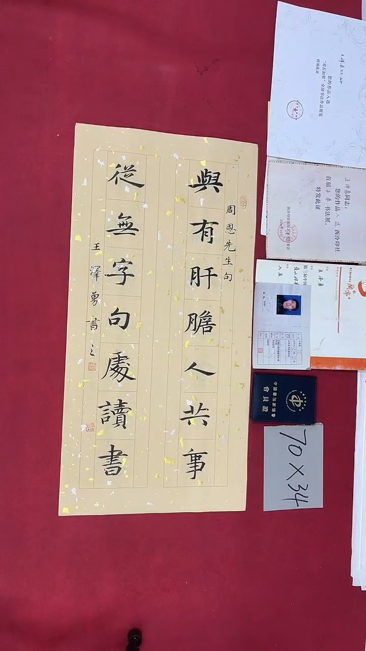 书法王泽勇老师书法作品041