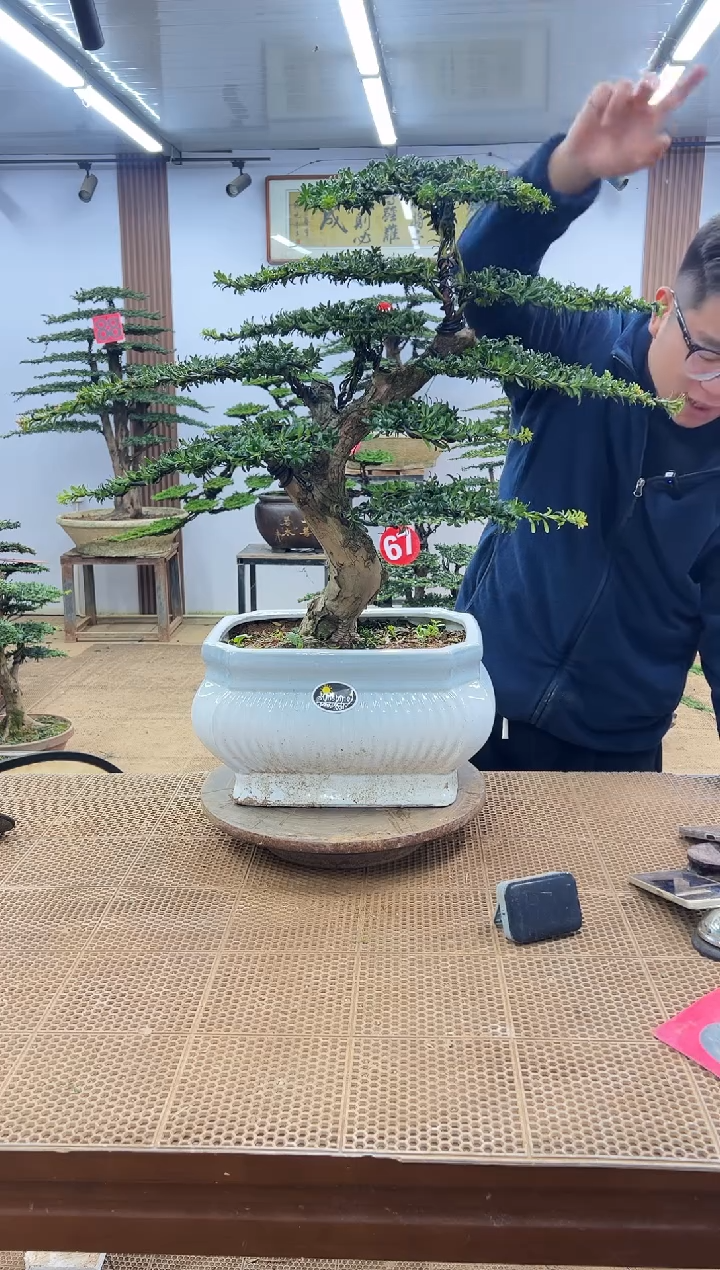 无花朵00000000000