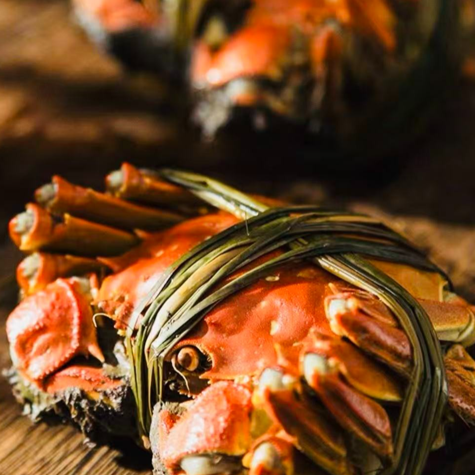 【活蟹】精品挑膏大闸蟹全母蟹3.1两-2.8两8-12只装