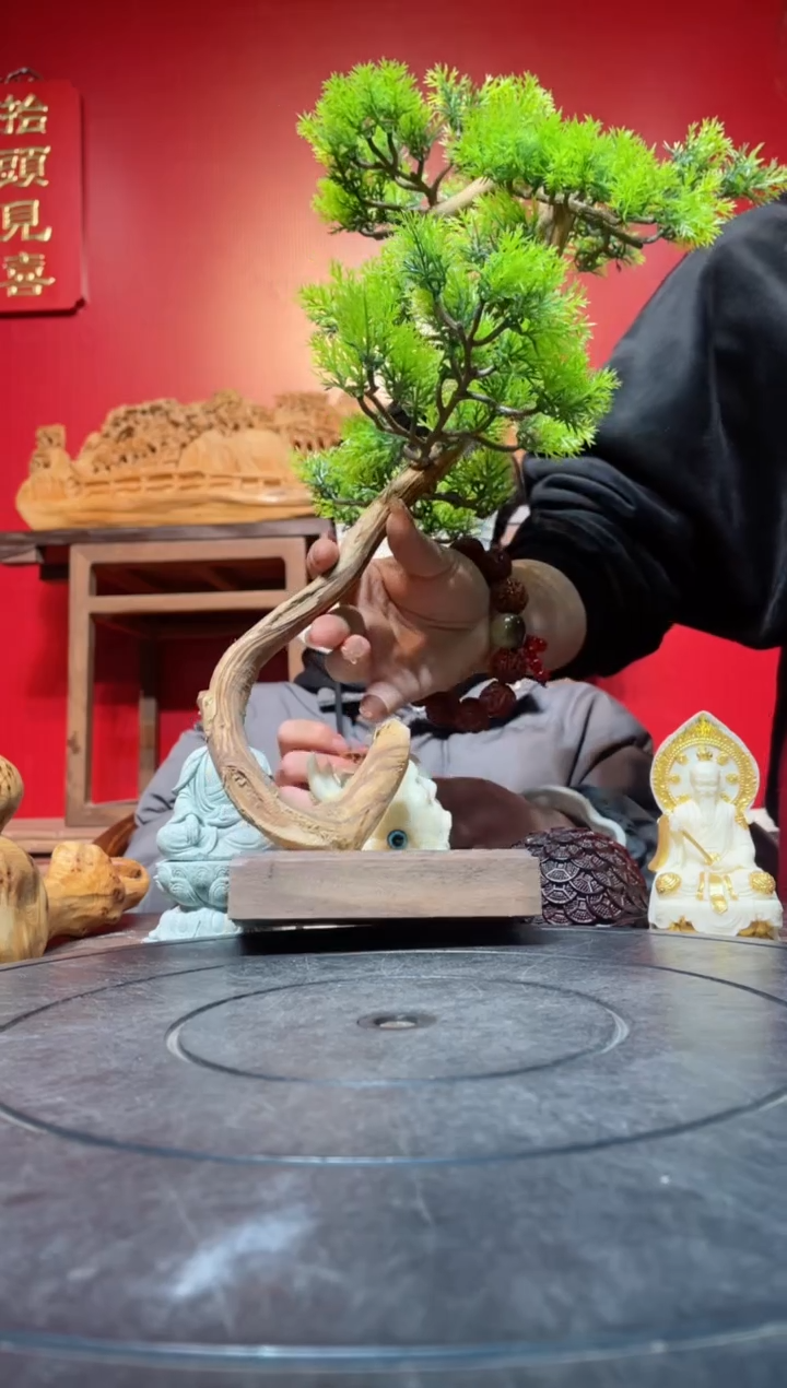 【闪购商品】柏木（崖柏）其他(直播推荐)     