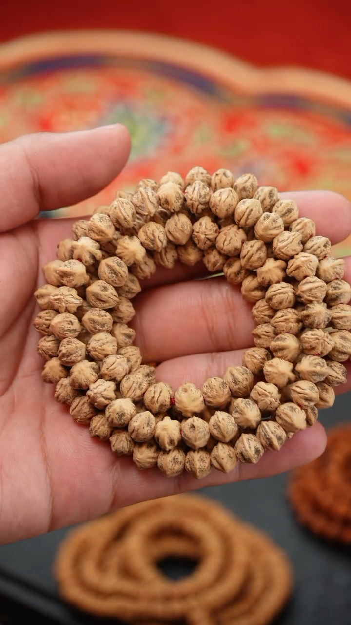 【闪购商品】柏香籽/百香籽吊坠红芽横打