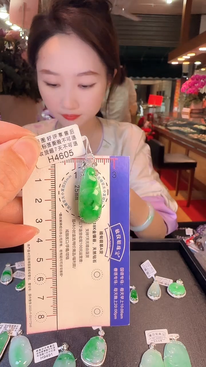 【闪购商品】翡翠颈饰18K金镶嵌H4605绿富贵豆