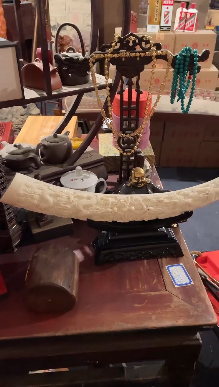 【闪购商品】一一一一一一一念双龙