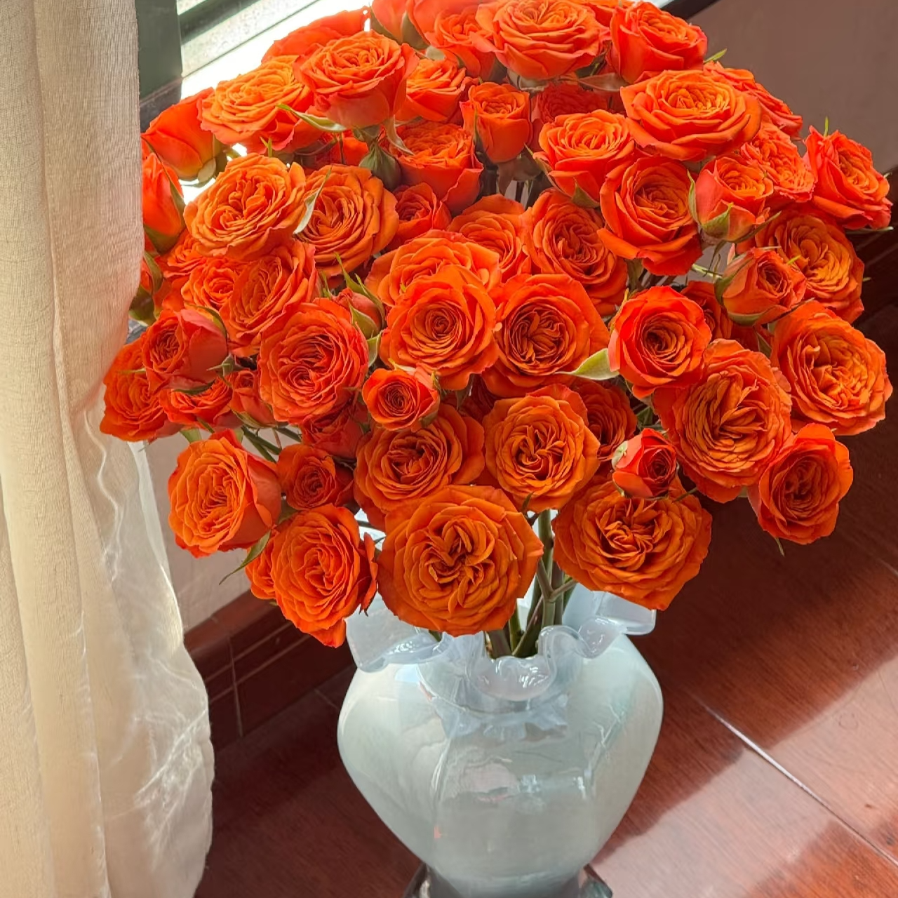 【橙芭比多头玫瑰】收到需醒花 云南昆明一手花源