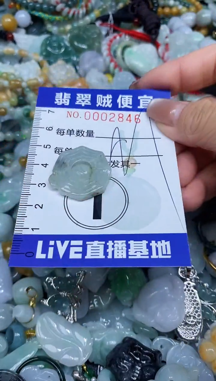 【闪购商品】翡翠未镶嵌颈饰闪购0002846多样性发其一