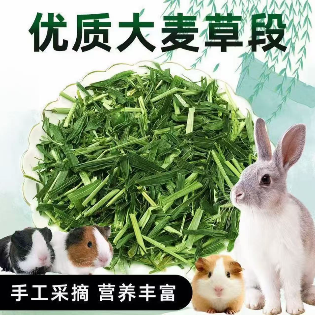 新鲜烘干大麦草段小宠物主食兔子豚鼠龙猫爱吃的牧草兔粮打架