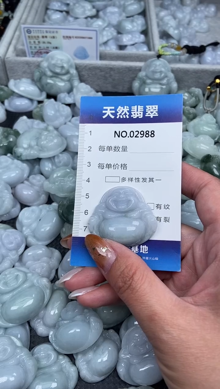 颈饰未镶嵌翡翠纯天然A货翡翠2988