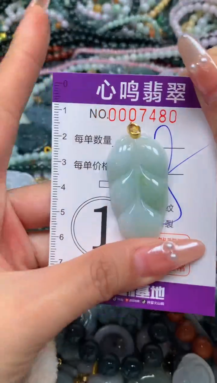 颈饰未镶嵌翡翠闪购007480