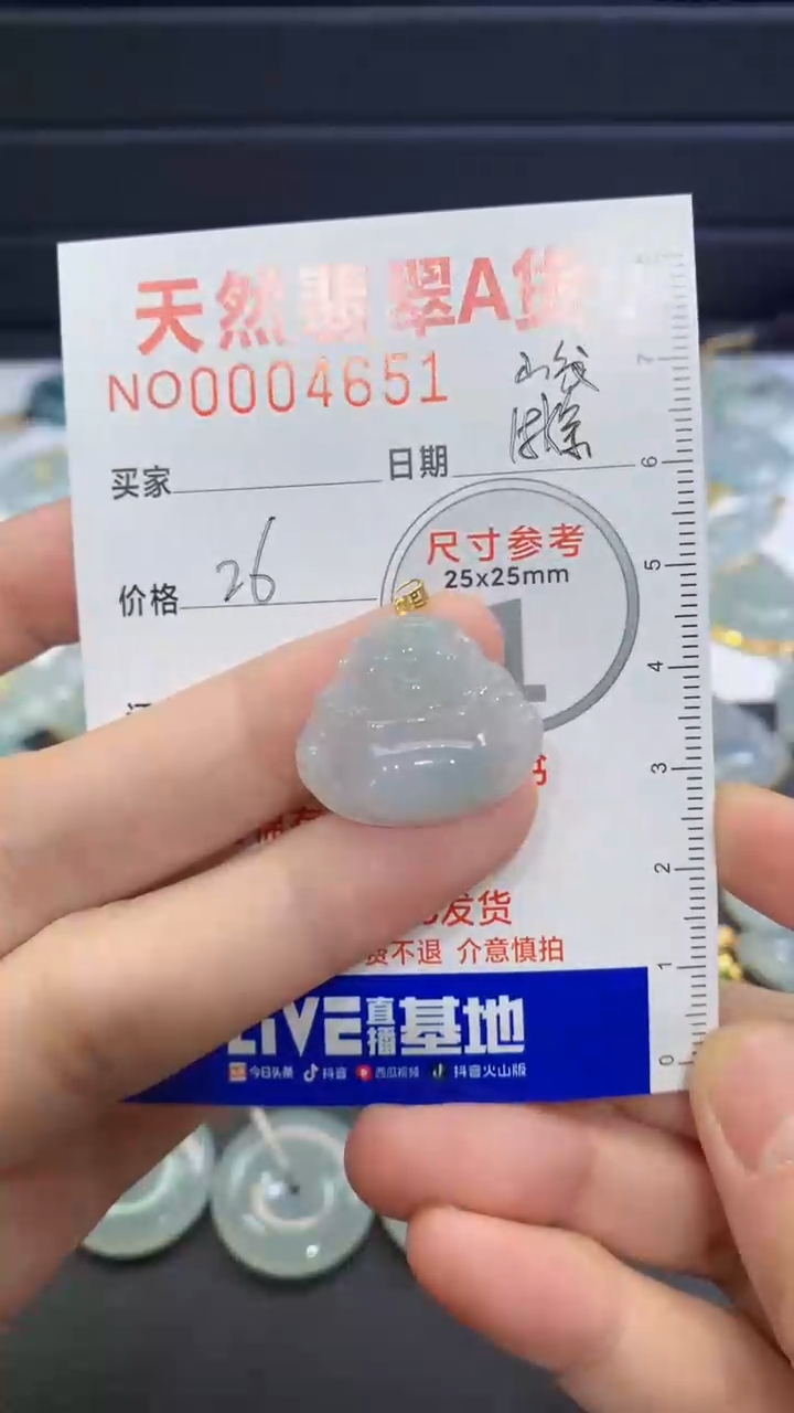 【闪购商品】翡翠颈饰未镶嵌翡翠