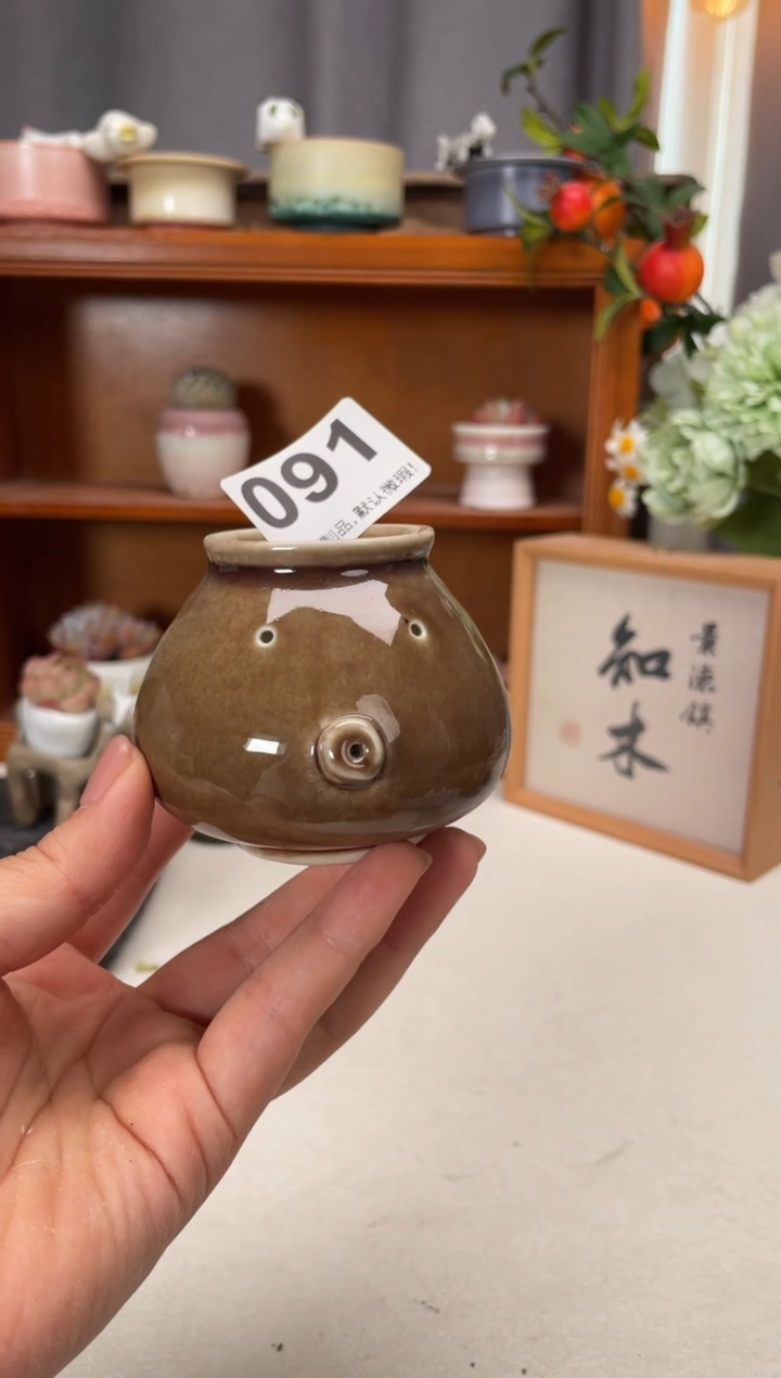 瓷片091知木小芳花盆