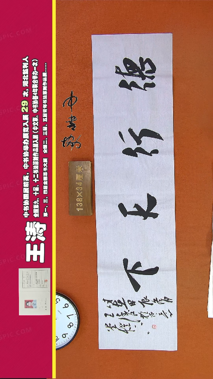 【闪购商品】书法144G王涛书法作品