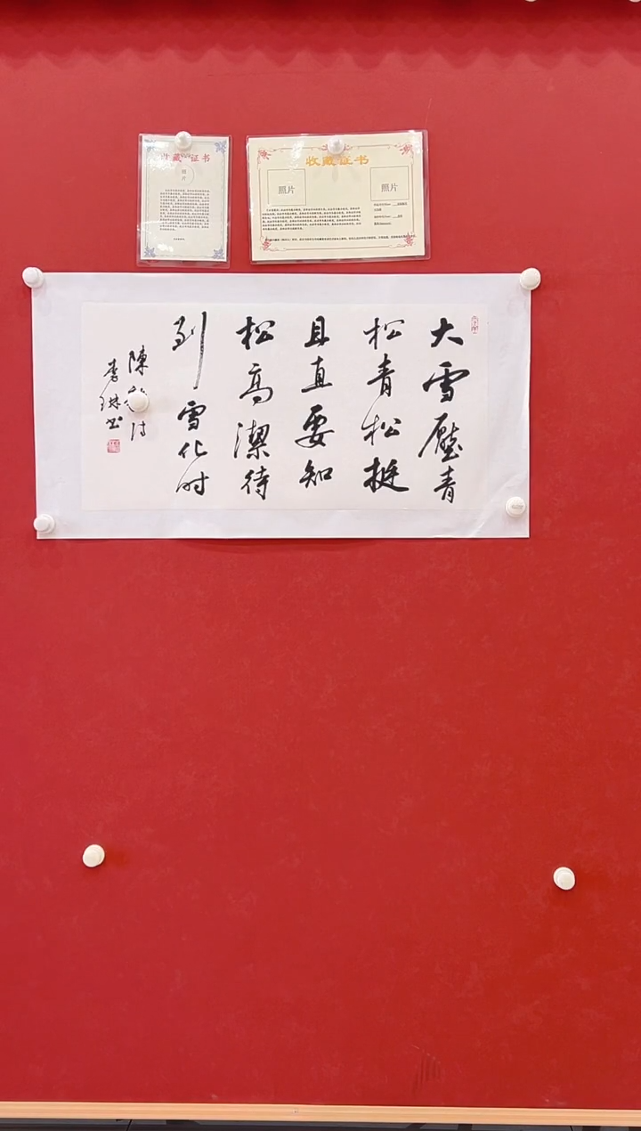 【闪购商品】书法李琳        书法 2平尺