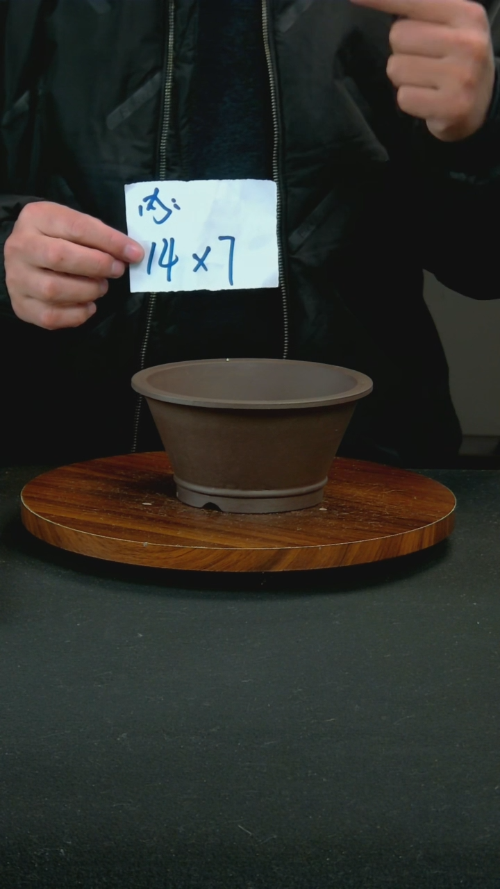 【闪购商品】紫砂F9