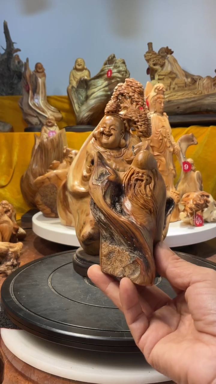 【闪购商品】柏木（崖柏）  寿星