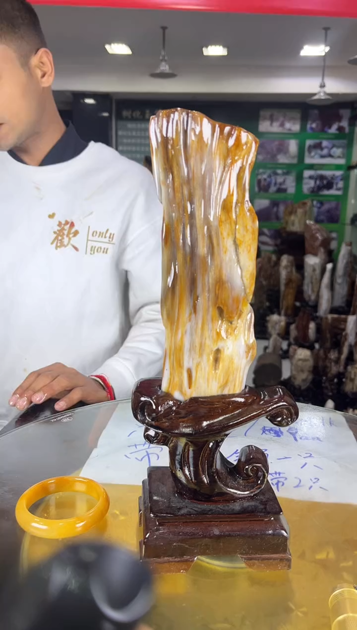 未镶嵌珠宝奇石硅化玉缅甸天然树化玉精品居家摆件