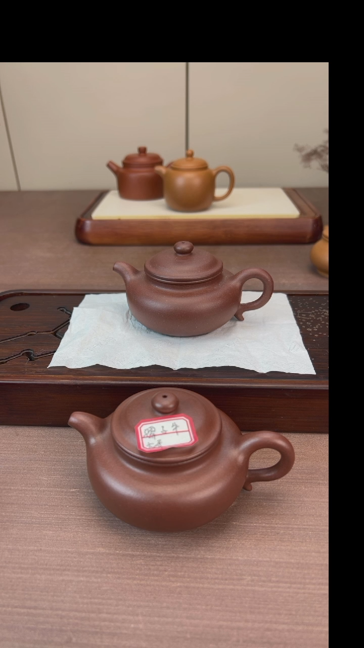 【闪购商品】紫砂茶壶66666666666