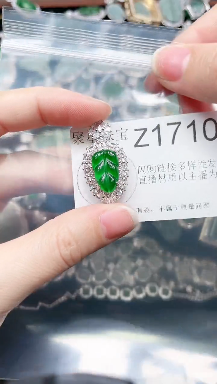 【闪购商品】翡翠颈饰未镶嵌1710赠皮绳