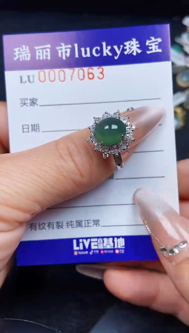 翡翠银S925镶嵌颈饰7063