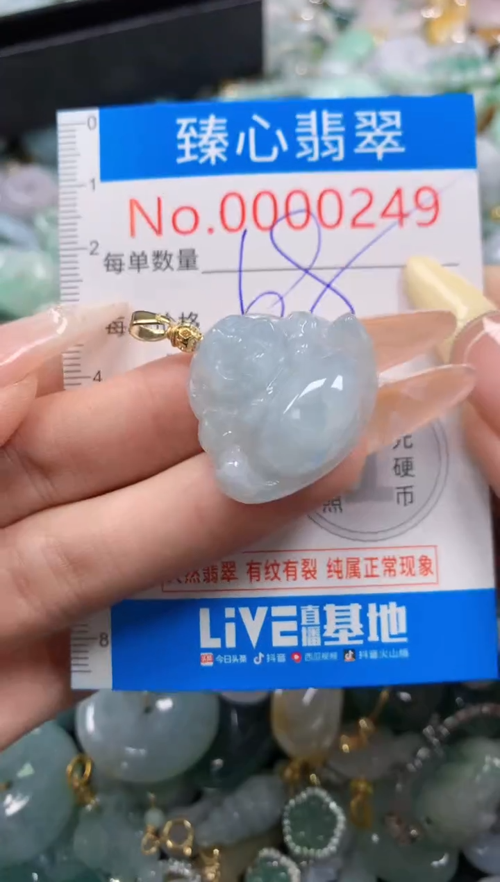 翡翠未镶嵌颈饰含绳000249