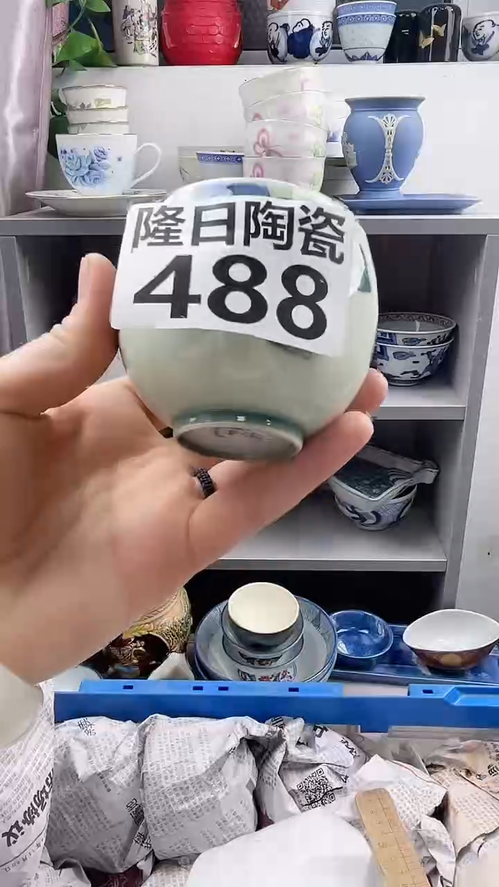 【闪购商品】瓷片488longritaoci