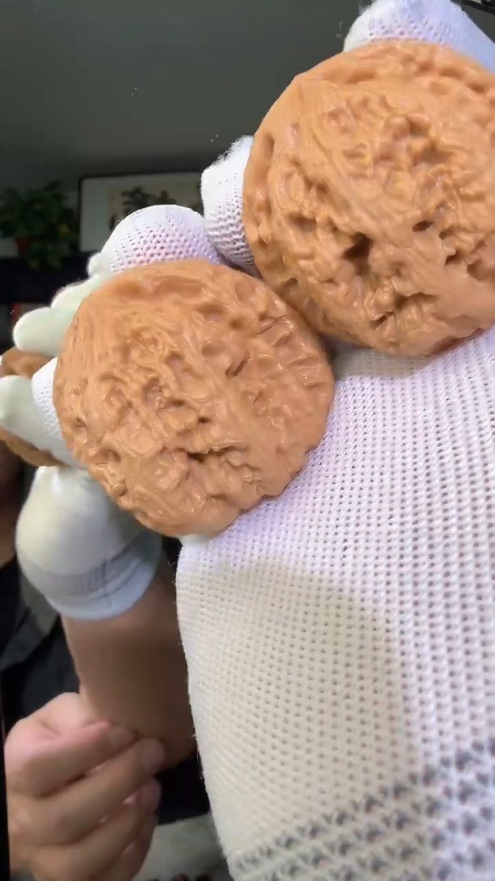 把件龙脊菩提016粗筋