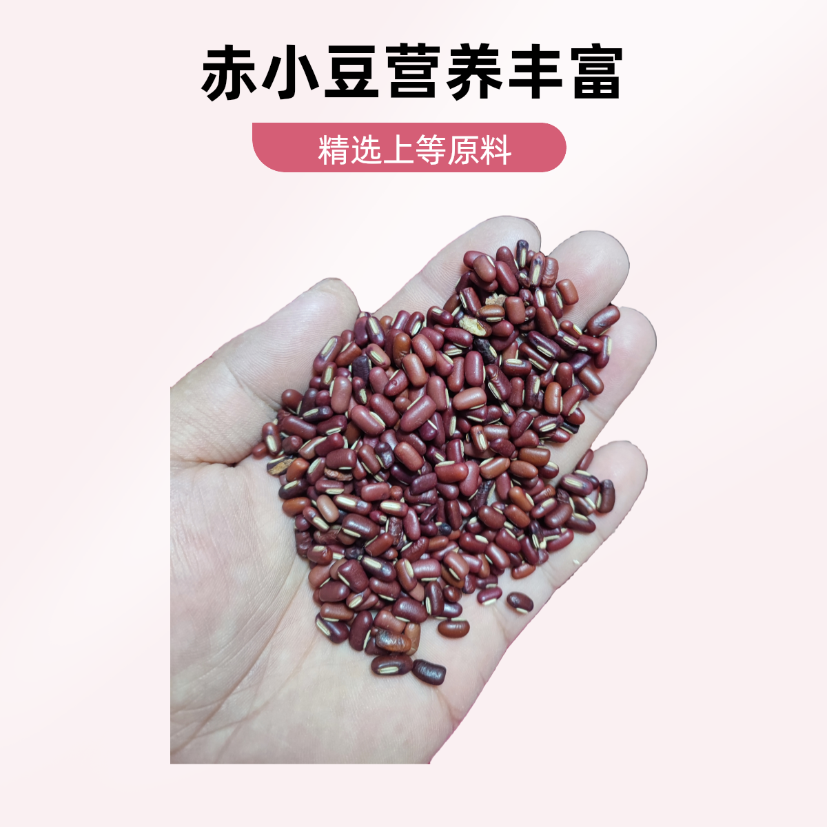 当季新货长粒赤小豆可搭配薏米煮粥煲汤的五谷杂粮