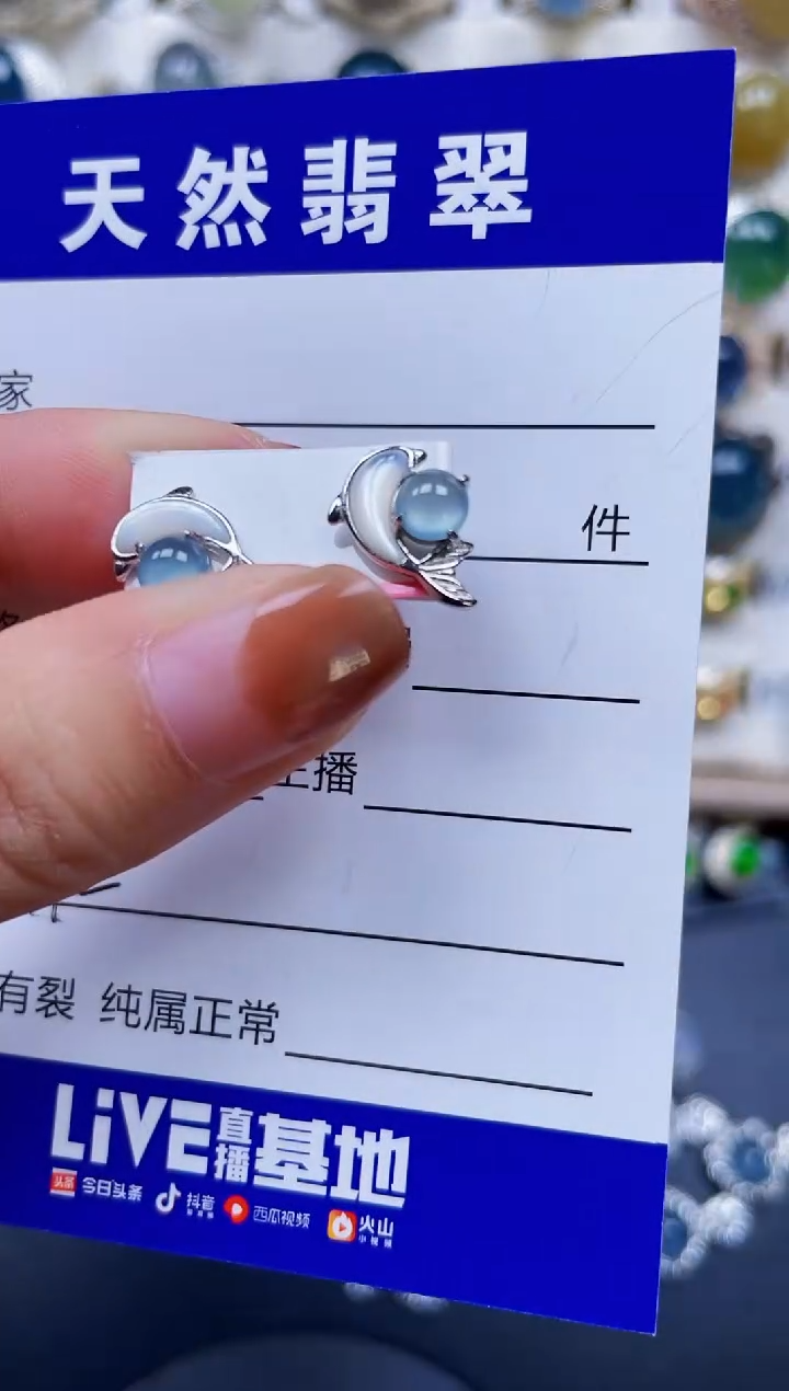 银S925镶嵌翡翠耳饰192