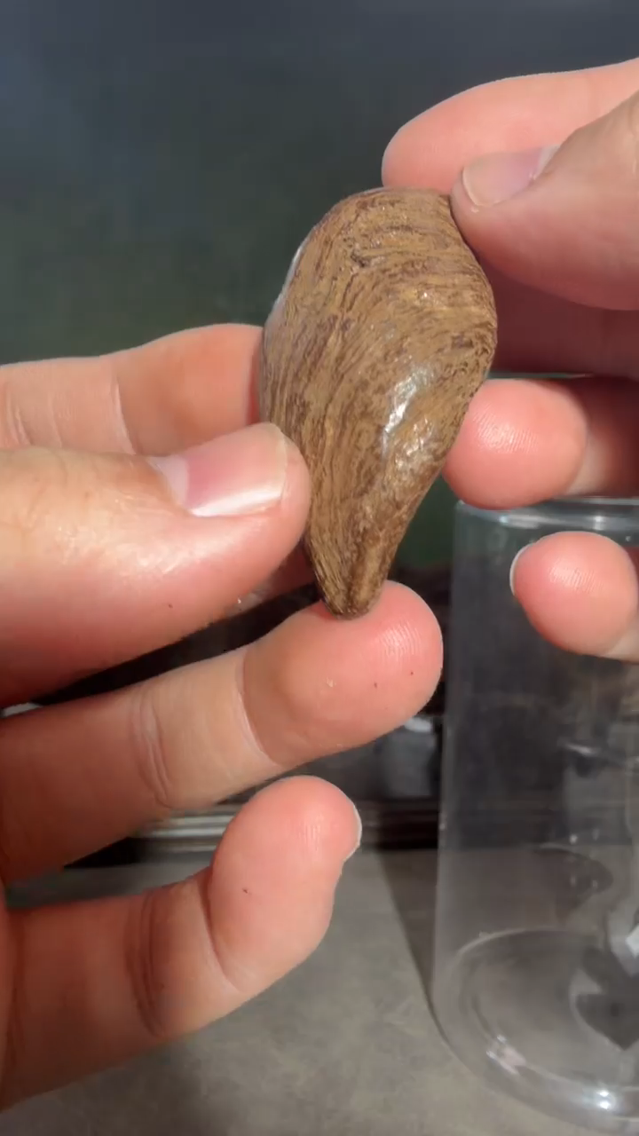 沉香吊坠多样性发一