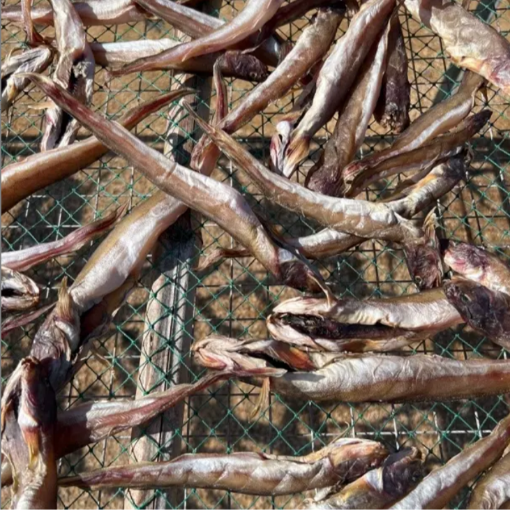 淡干海鲶鱼干自然晾晒淡盐不咸美味特产