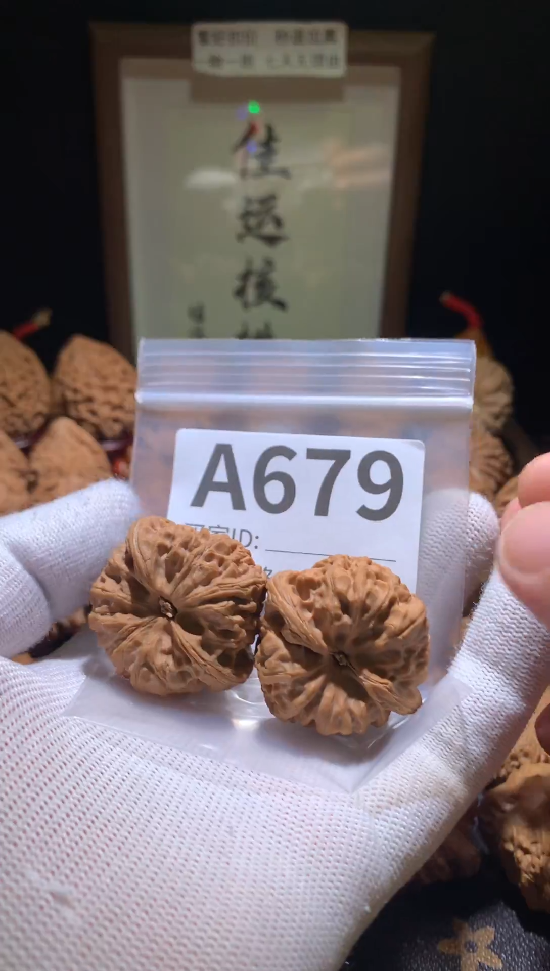 把件文玩核桃野牛39加尺