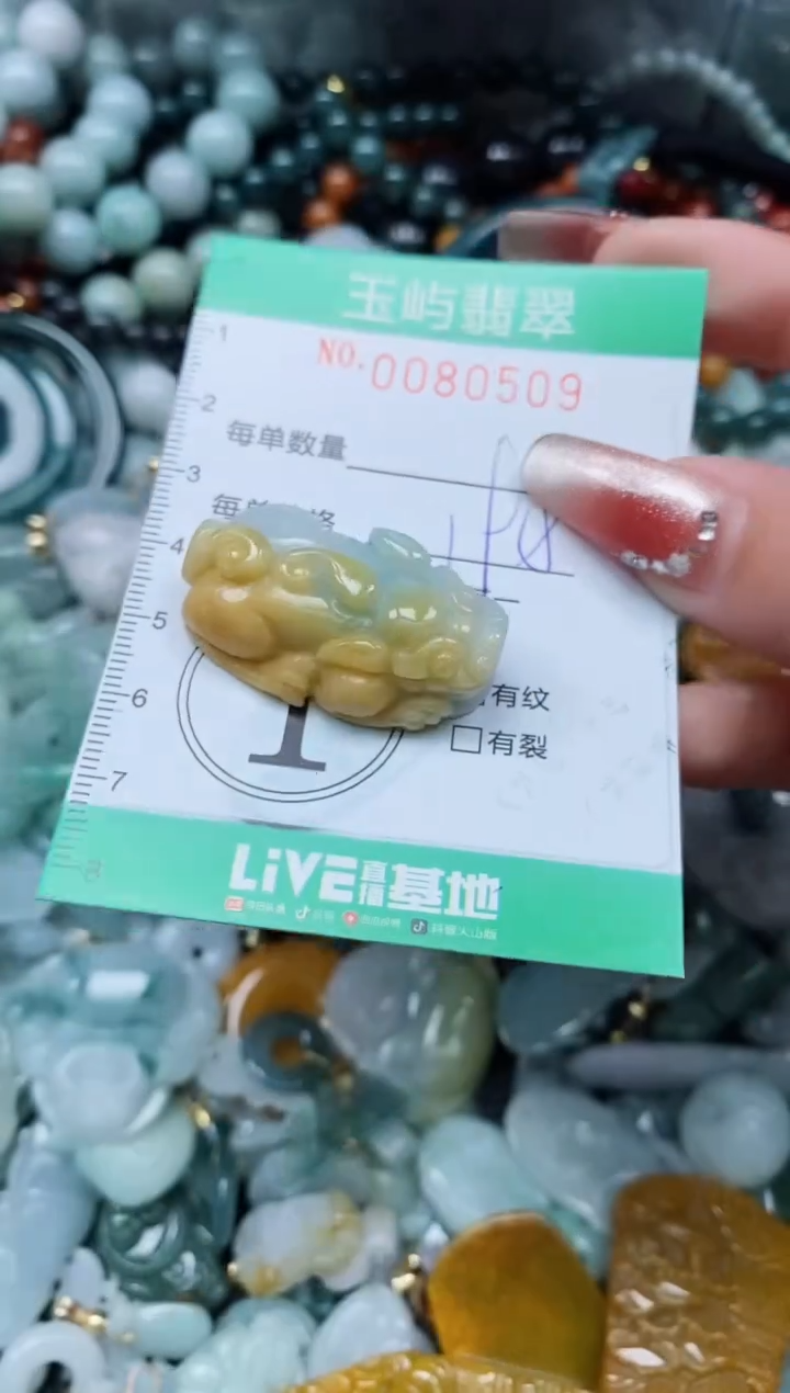【闪购商品】翡翠颈饰未镶嵌闪购0080509