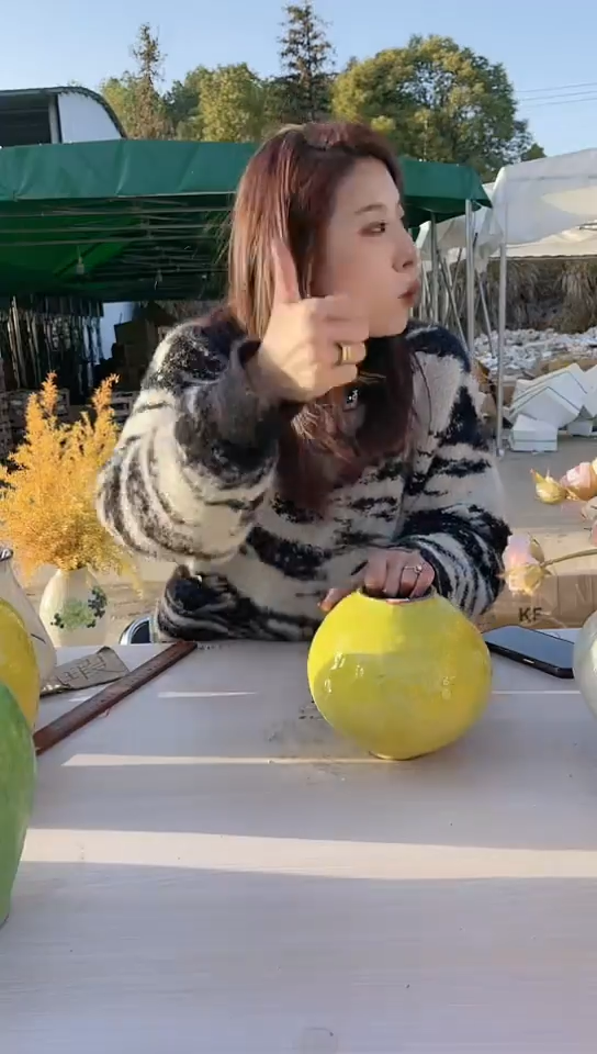 【闪购商品】陶瓷景德镇手工陶瓷推