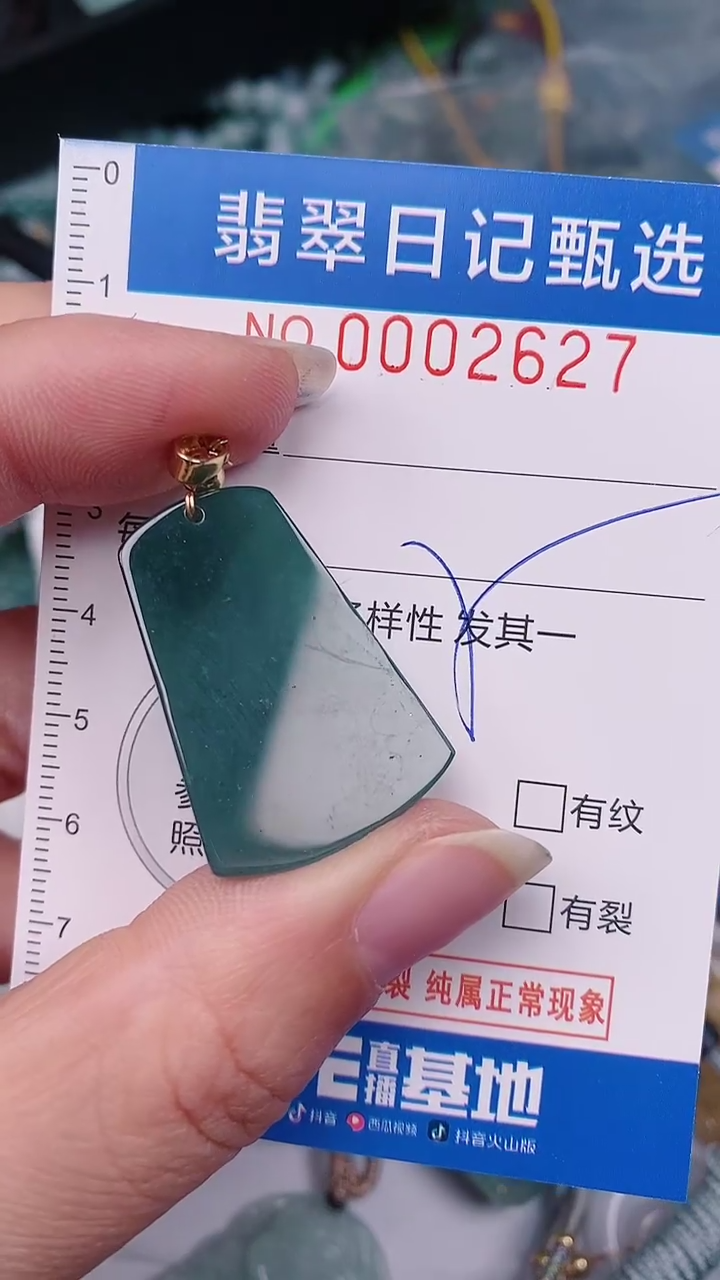 【闪购商品】翡翠颈饰未镶嵌00002627