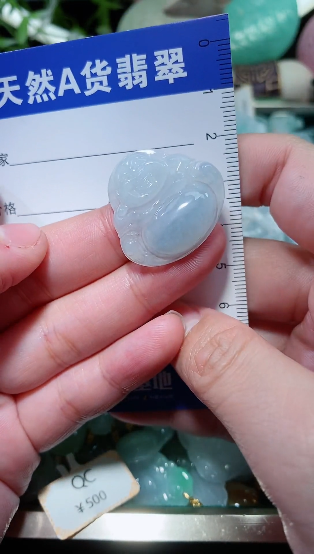 【闪购商品】翡翠颈饰未镶嵌天然A货翡翠一件