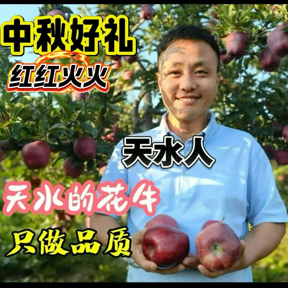 【顺丰包邮】甘肃天水花牛苹果产地直发 当季新鲜 中秋好礼红红火火
