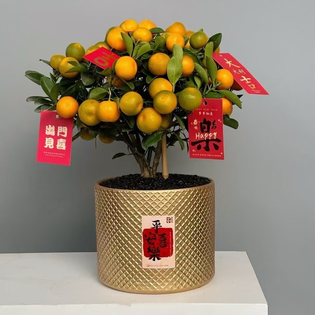 庭院好物  一物一拍 包邮到家