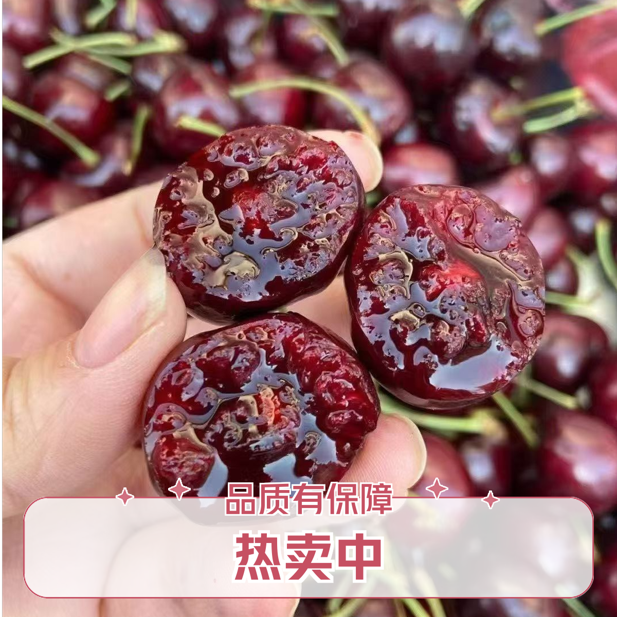 智利进口车厘子2J  约500g 海运智利