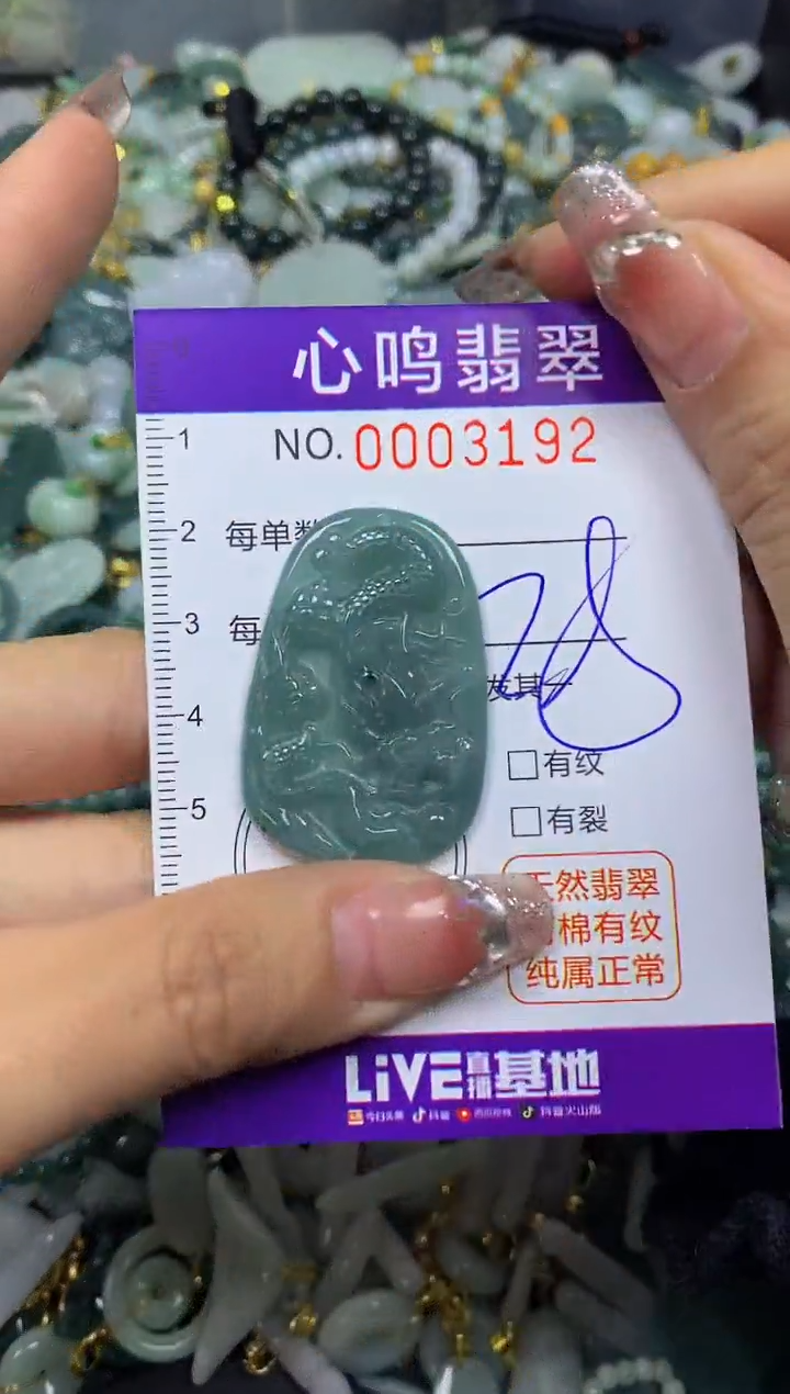 【闪购商品】翡翠颈饰未镶嵌闪购003192