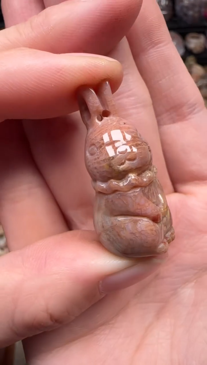 颈饰未镶嵌硅化珊瑚（珊瑚玉）346